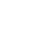 iLe Consulting Logo Portrait White